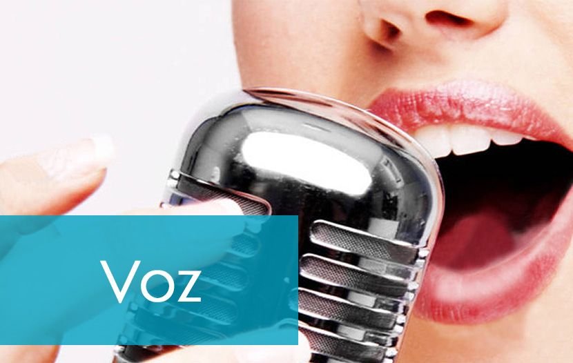 Acompanhamento online